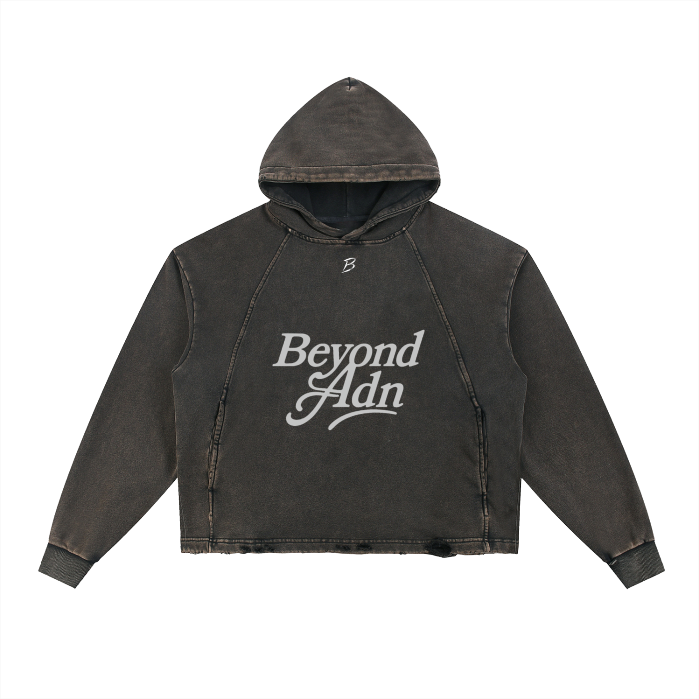 Vintage Washed Hoodie Beyond Adn