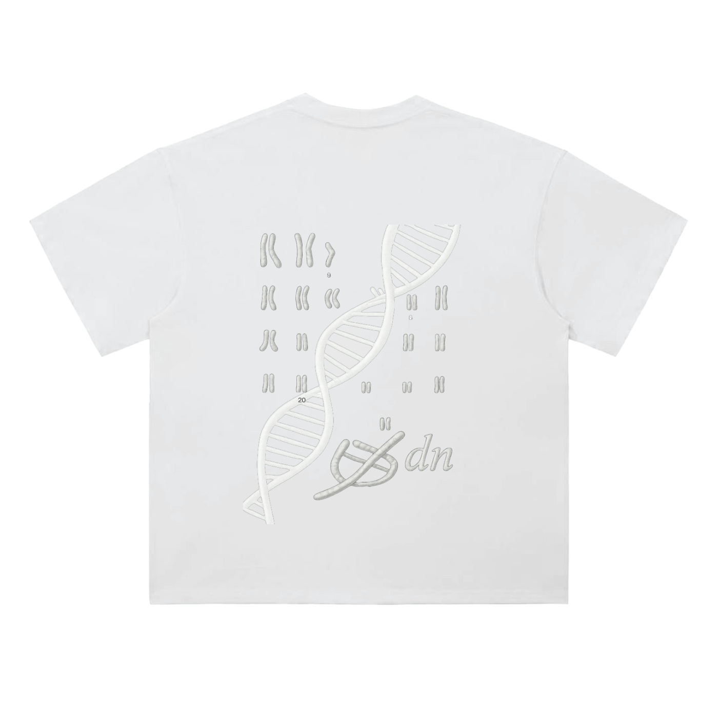 aT-Shirt Cotton Beyond Adn