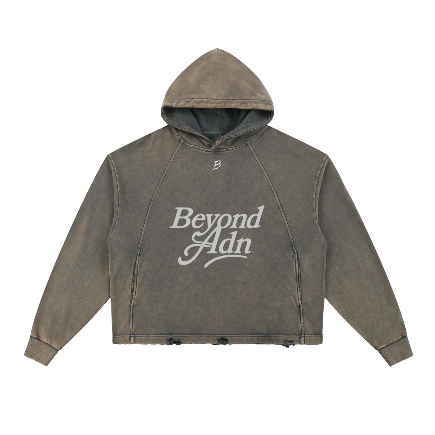 Vintage Washed Hoodie Beyond Adn