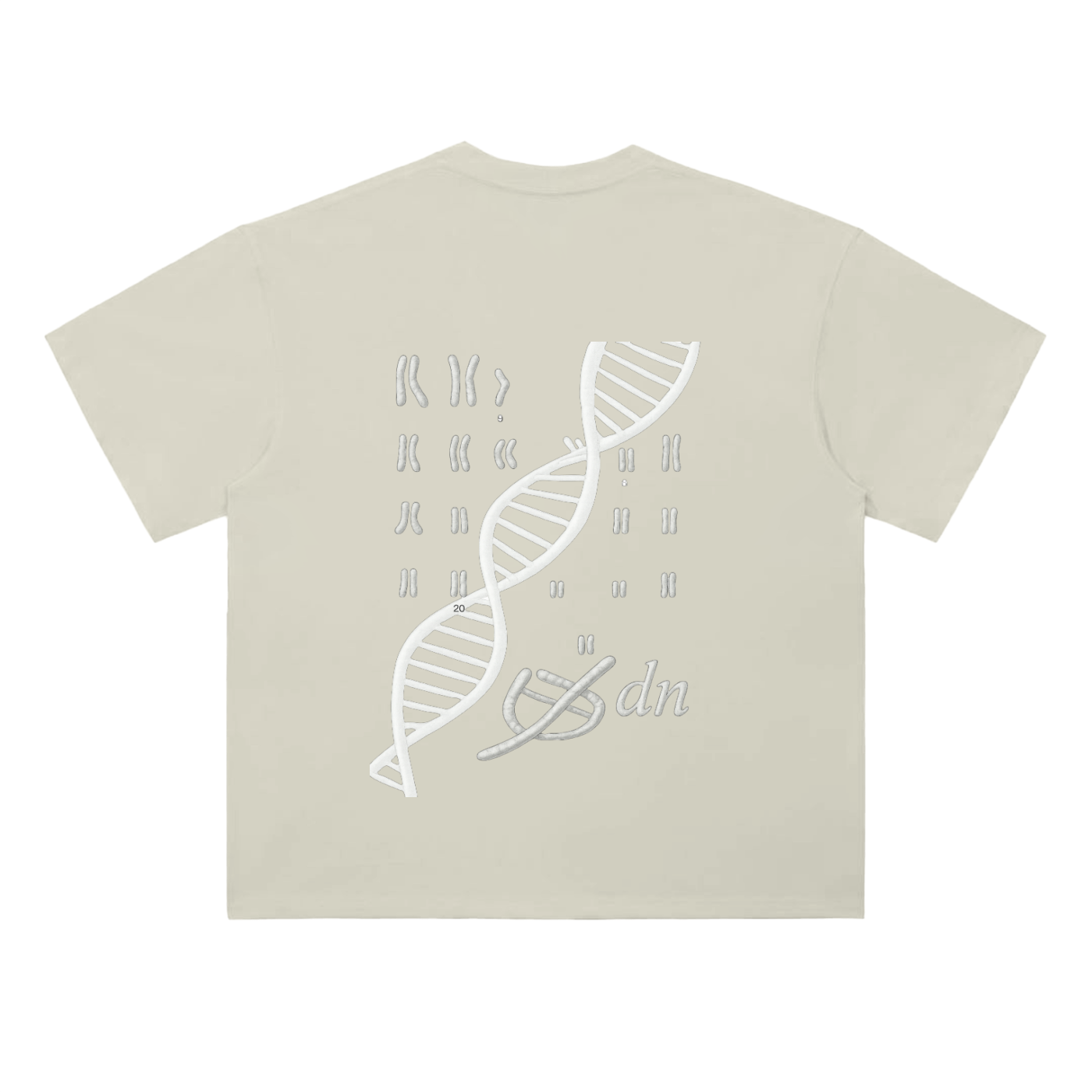 aT-Shirt Cotton Beyond Adn