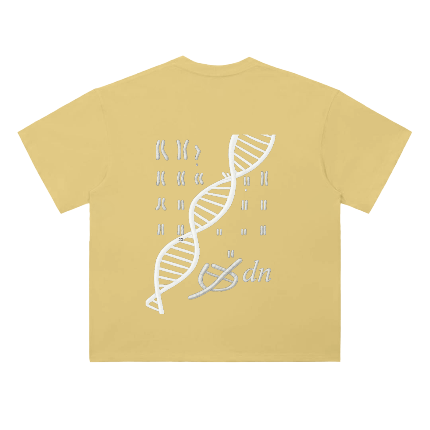 aT-Shirt Cotton Beyond Adn